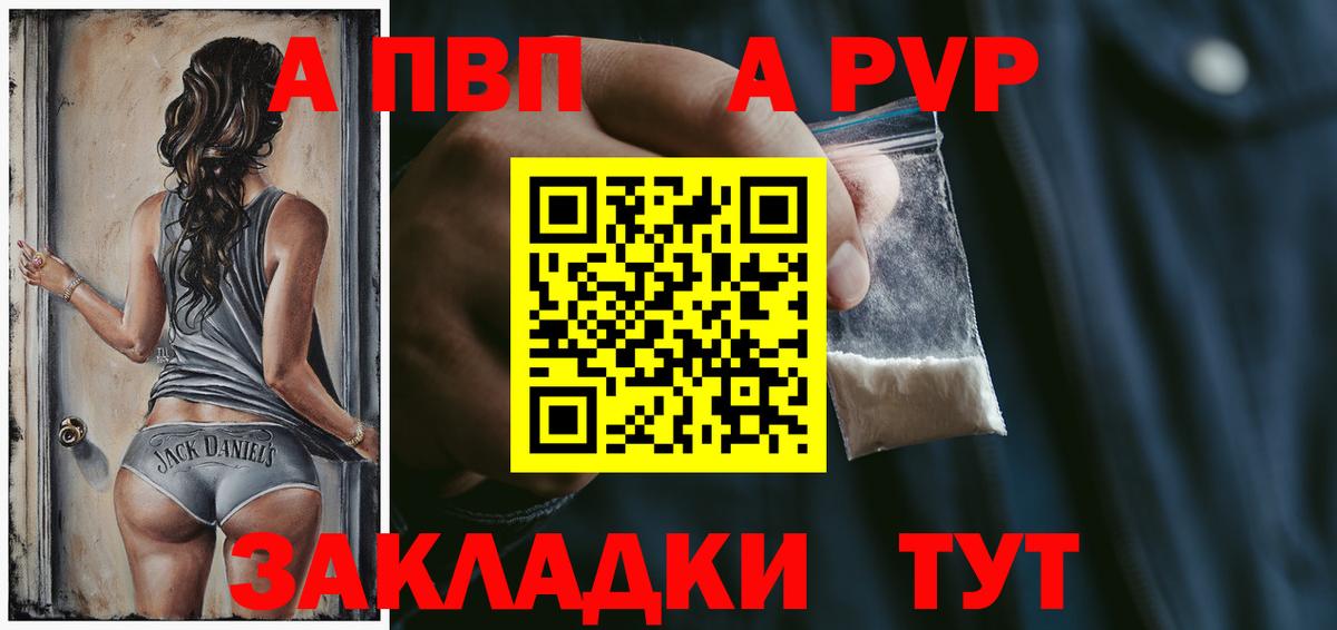 Альфа ПВП СК КРИС Великий Новгород