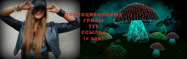 гидра Михайловск