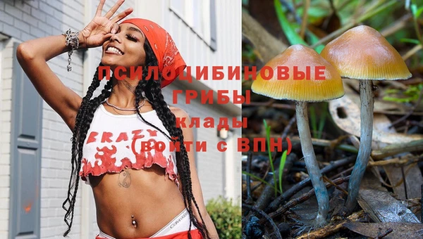 гидра Михайловск