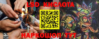 первитин Владимир