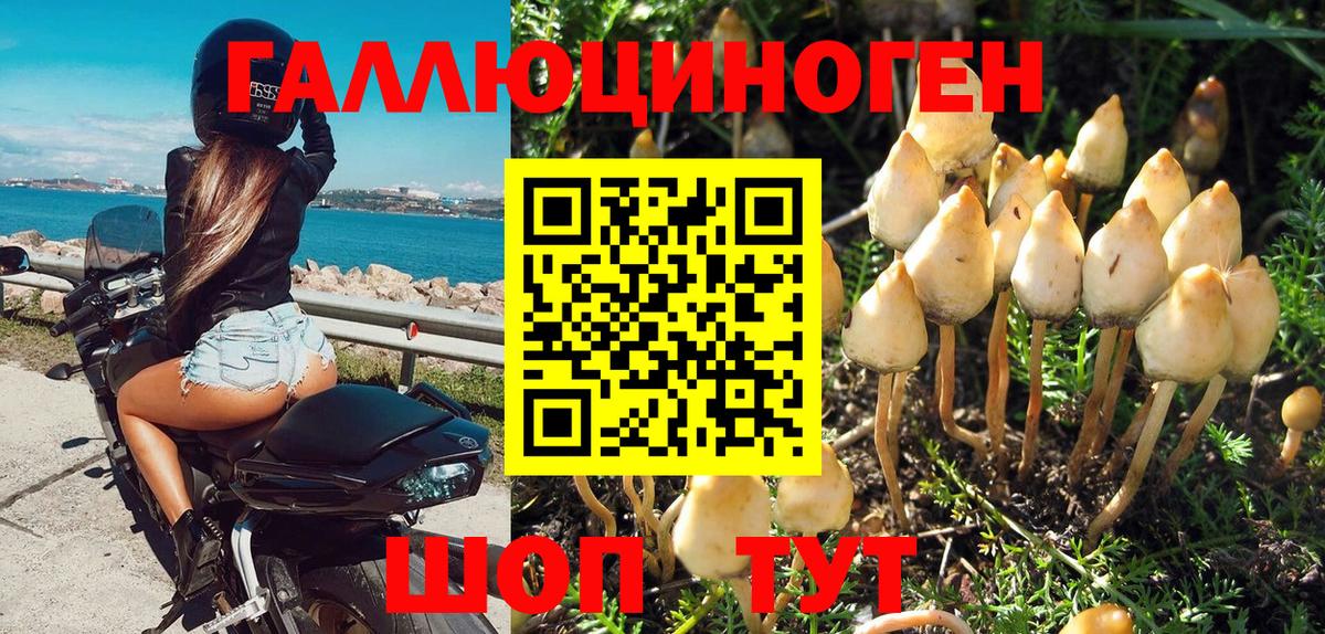 Галлюциногенные грибы мухоморы  Галлюциногенные грибы ЛСД  Великий Новгород  Вход с VPN 