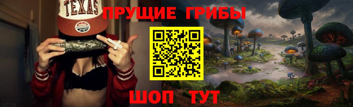 Псилоцибиновые грибы мицелий Великий Новгород